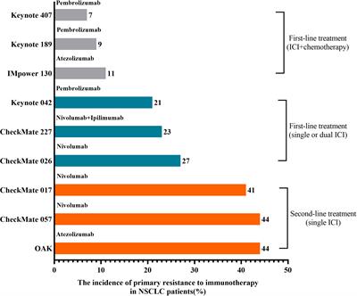 Immunotherapy resistance in non-small-cell lung cancer: From mechanism to clinical strategies